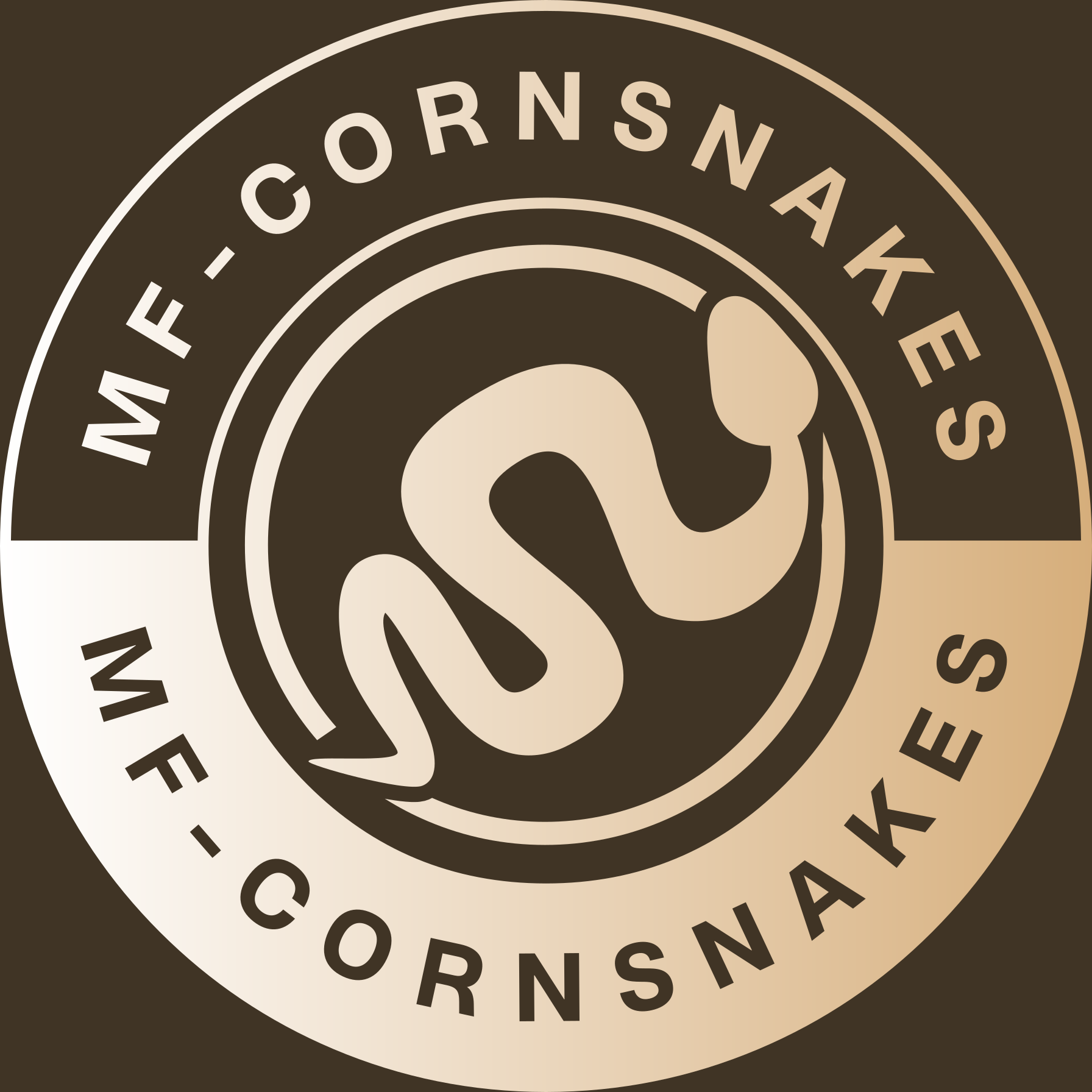 MF-Cornsnakes